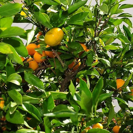 Lejlighed Luka & Sara *